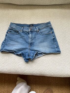 Express Light Blue Denim Jean Shorts